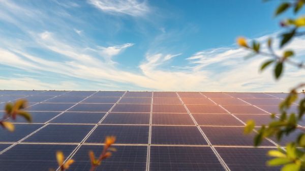 Guide complet sur l'énergie photovoltaïque et ses panneaux